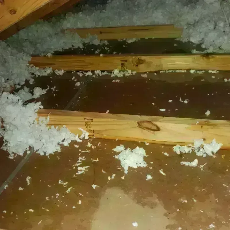 Attic Water Damage in Northumberland, NH