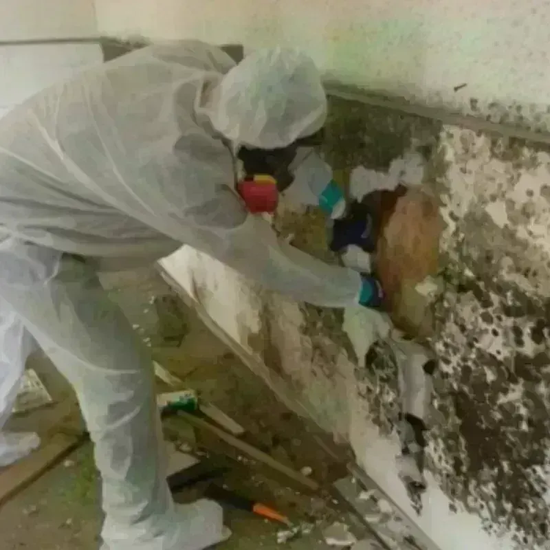 Mold Remediation and Removal in Northumberland, NH